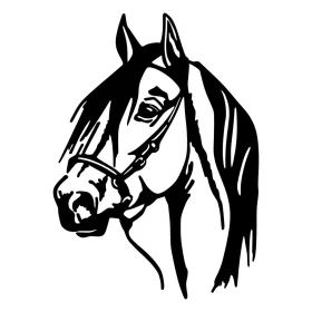 Fém fali dekoráció, horse, 40x55 cm
