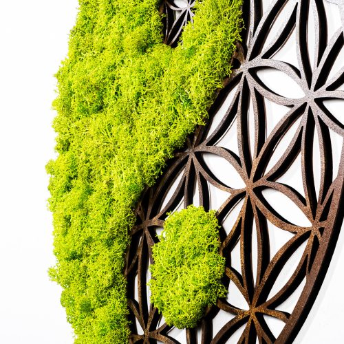 Fa és moha fali dekoráció, yin-yang, 44 cm