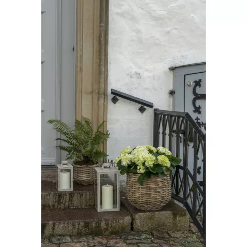 Pulo Kosarak 2 darabos szett