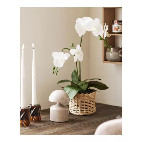 Aulla Asztali Lámpa