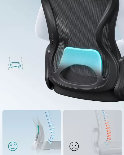 Irodai forgószék, ergonomikus, hálós háttámlával, deréktámasszal, fekete